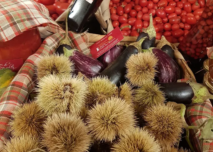 Fattoria Colle Dei Monaci 2*